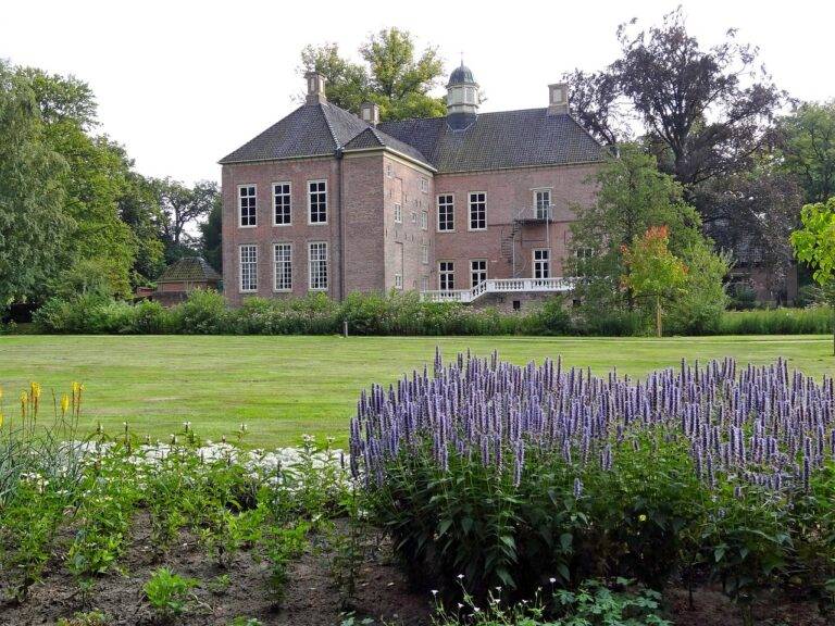 The Benefits of Solar Patio Heating: Enjoying Outdoor Spaces with Renewable Energy