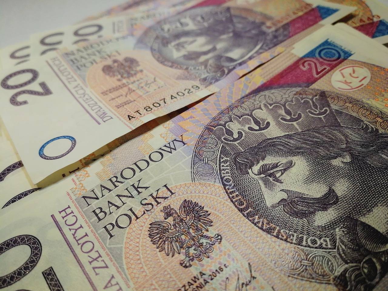 Sustainable Gardening Tools: Eco-Friendly Equipment for Green Thumbs